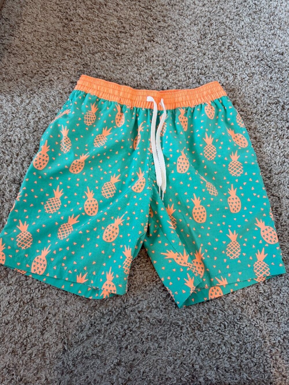 Chubbies Swim Trunks